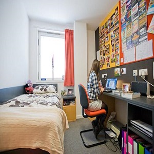 Reasons to opt usyd accommodation
